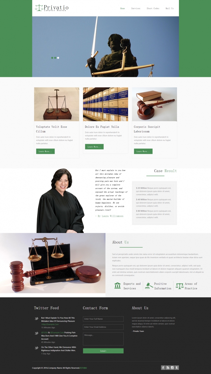 简洁清新风的西方法律社会网站模板下载