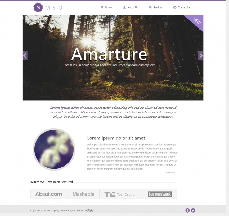 紫色简洁风格的企业网站模板下载