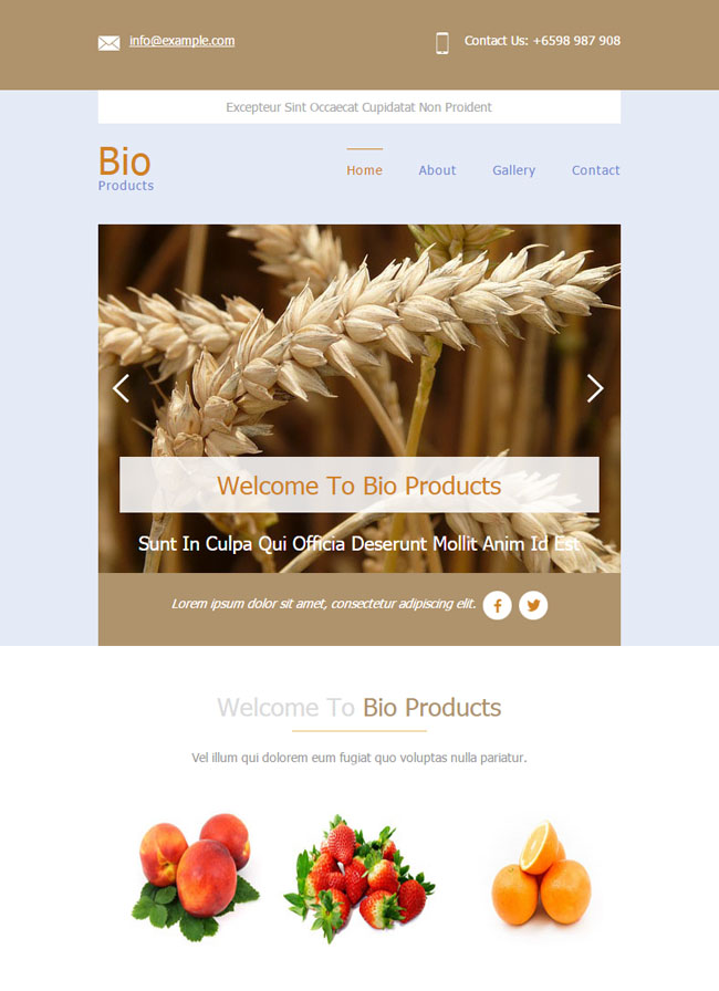 简洁风格的农业水果蔬菜种植网页模板下载