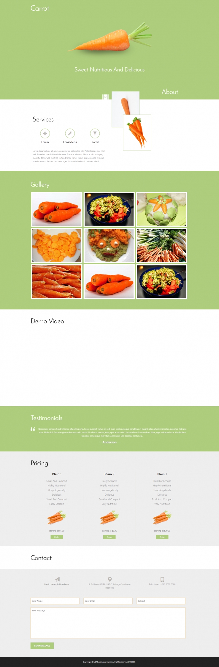 绿色宽屏风格的胡萝卜主题蔬菜网站模板