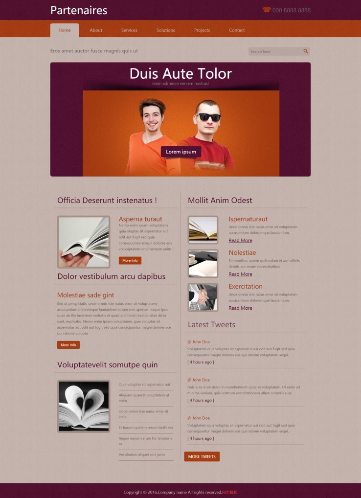 橙色简洁风格的业务咨询企业网站模板