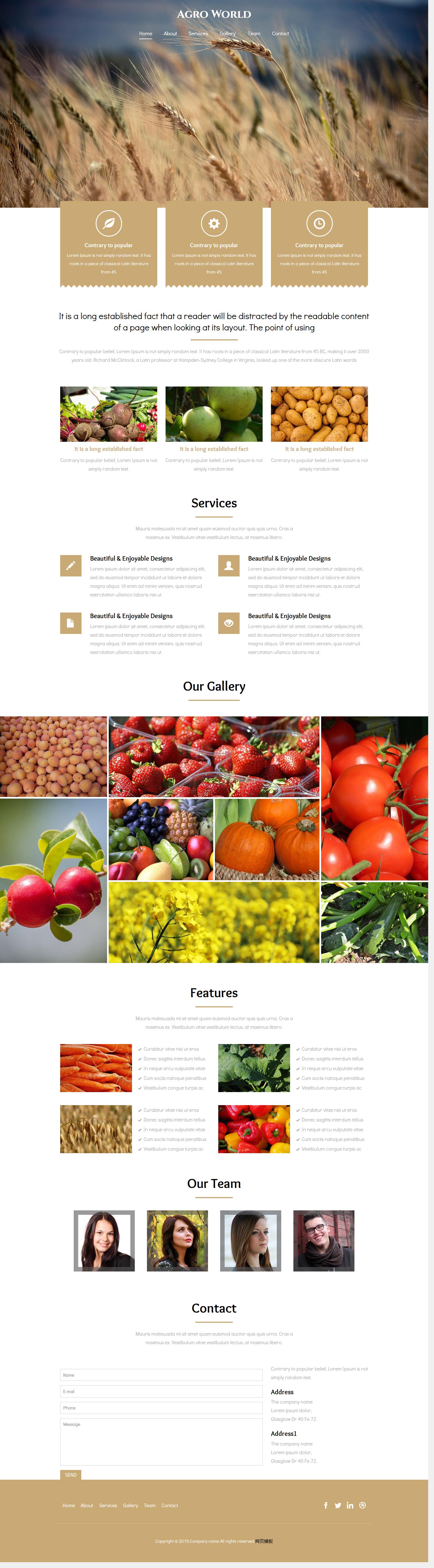 白色扁平化风格的小麦水果蔬菜种植企业网站模板