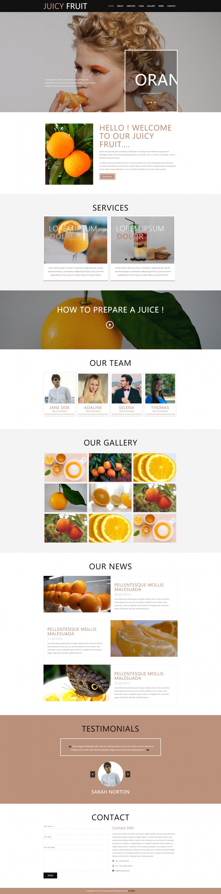 简洁精致风的水果果汁餐饮网站模板下载