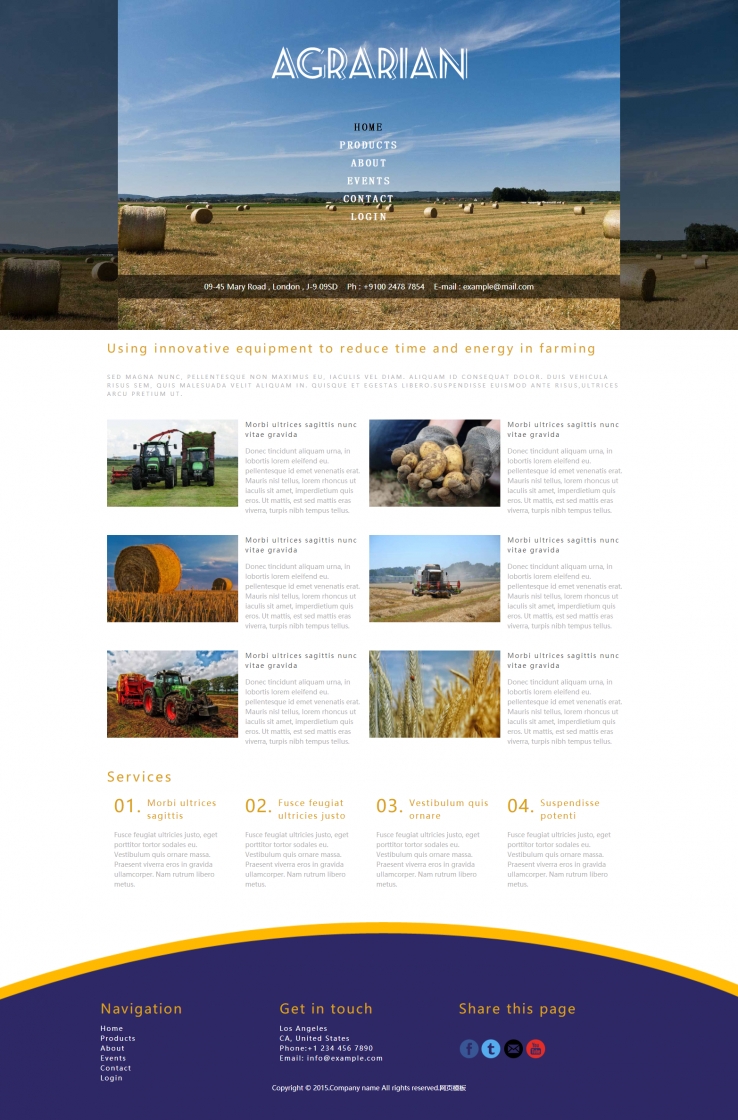 简洁黄色风格的燕麦种植企业网站模板