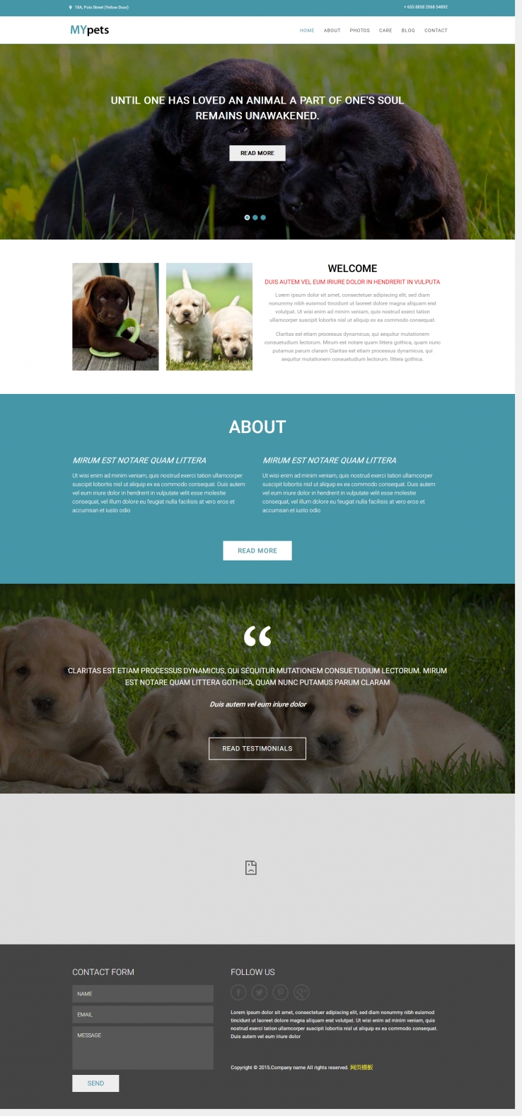 蓝色扁平化风格的宠物狗爱好者网站模板下载
