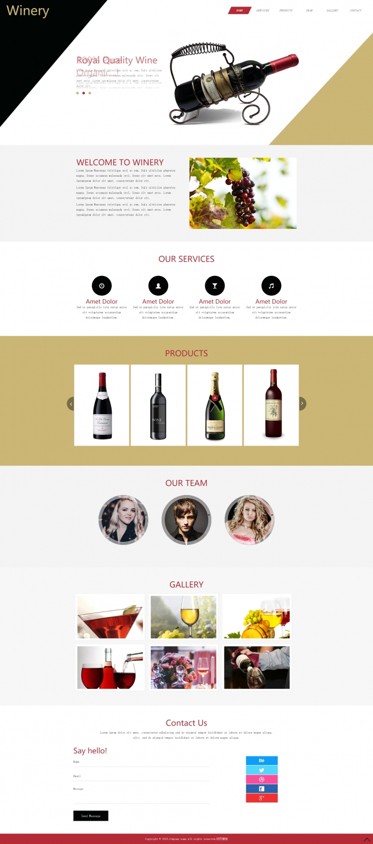 高端创意的葡萄酒销售网站模板下载