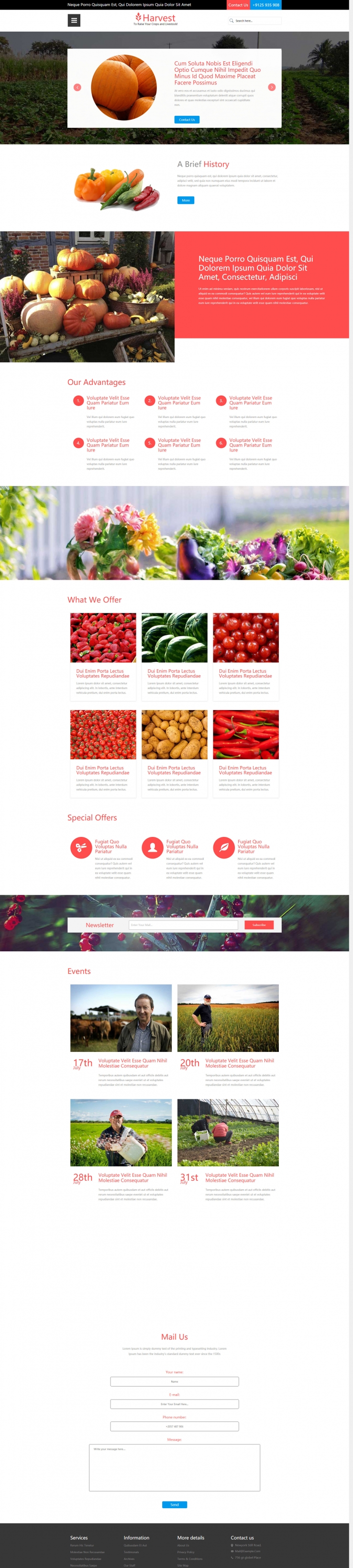 清新香甜风的新鲜水果网页模板下载