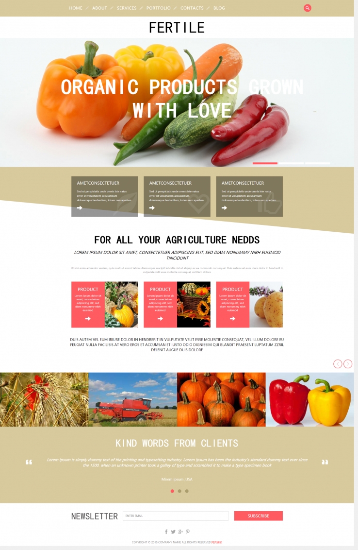简洁棕色风的蔬菜私房菜馆网站模板下载