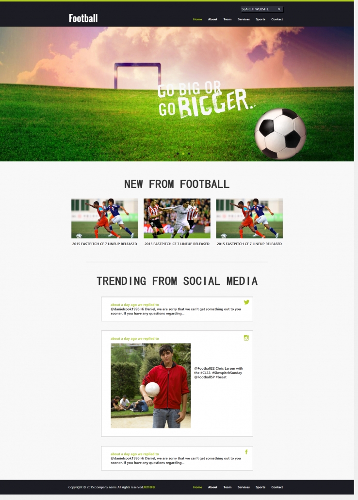 活力精致风的足球运动协会网站模板下载