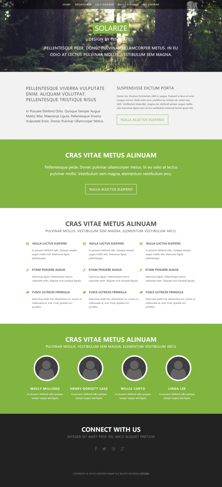 简洁绿色风格的森林主题HTML5模板
