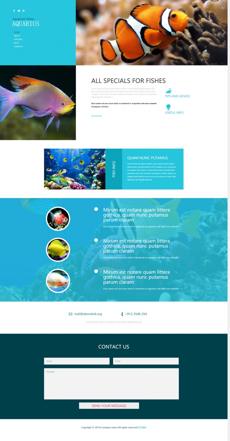 蓝色精致清爽的海洋专题网站模板下载