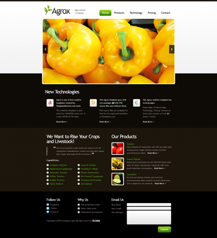 黑色大气风格的水果蔬菜类食品html5网站模板