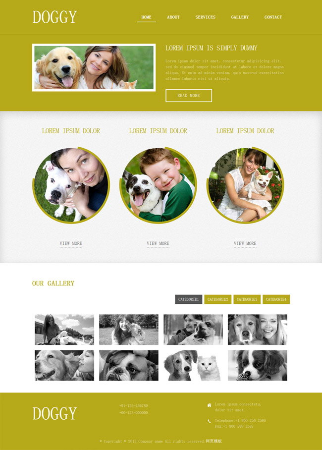 绿色宽屏风格的宠物狗网站模板下载