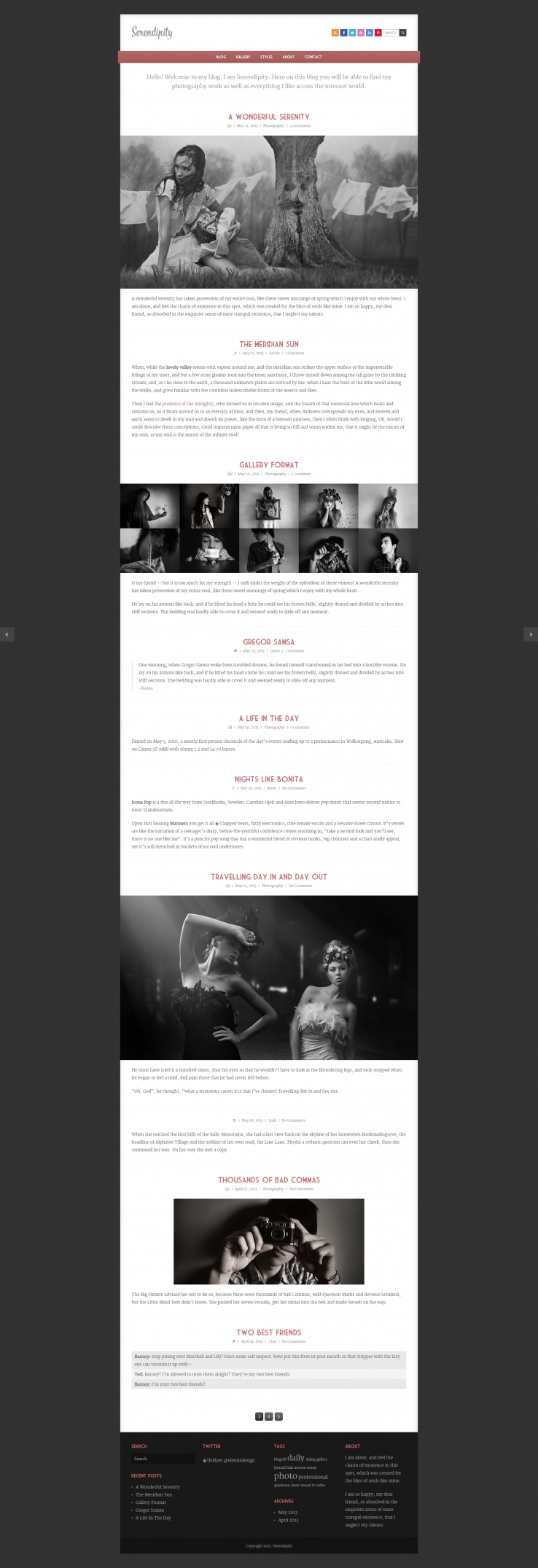 精致简洁风格的个人摄影博客网站模板下载