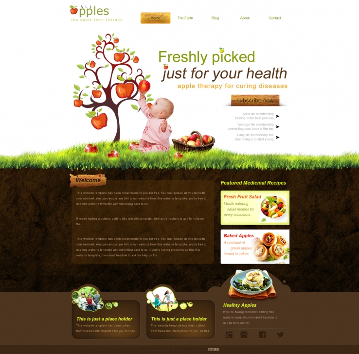 棕色简洁风格的儿童健康食品网站模板下载