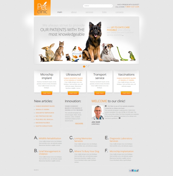 橙色简洁风格的宠物诊所CSS模板