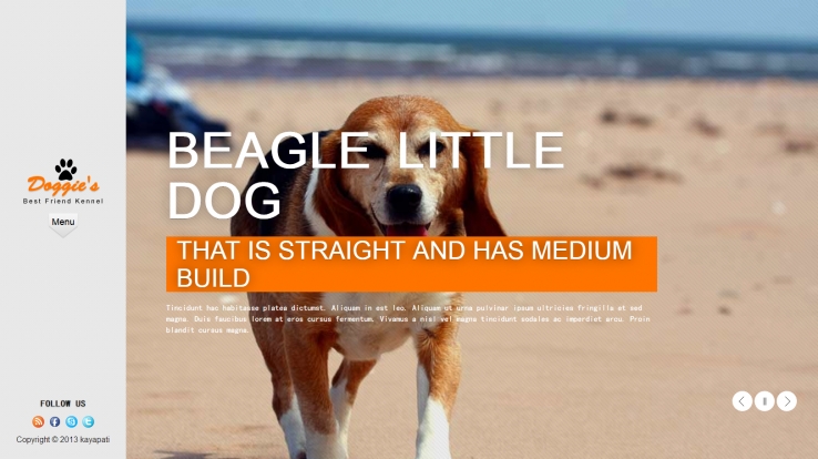 橙色简洁风格的狗狗全屏网站模板下载