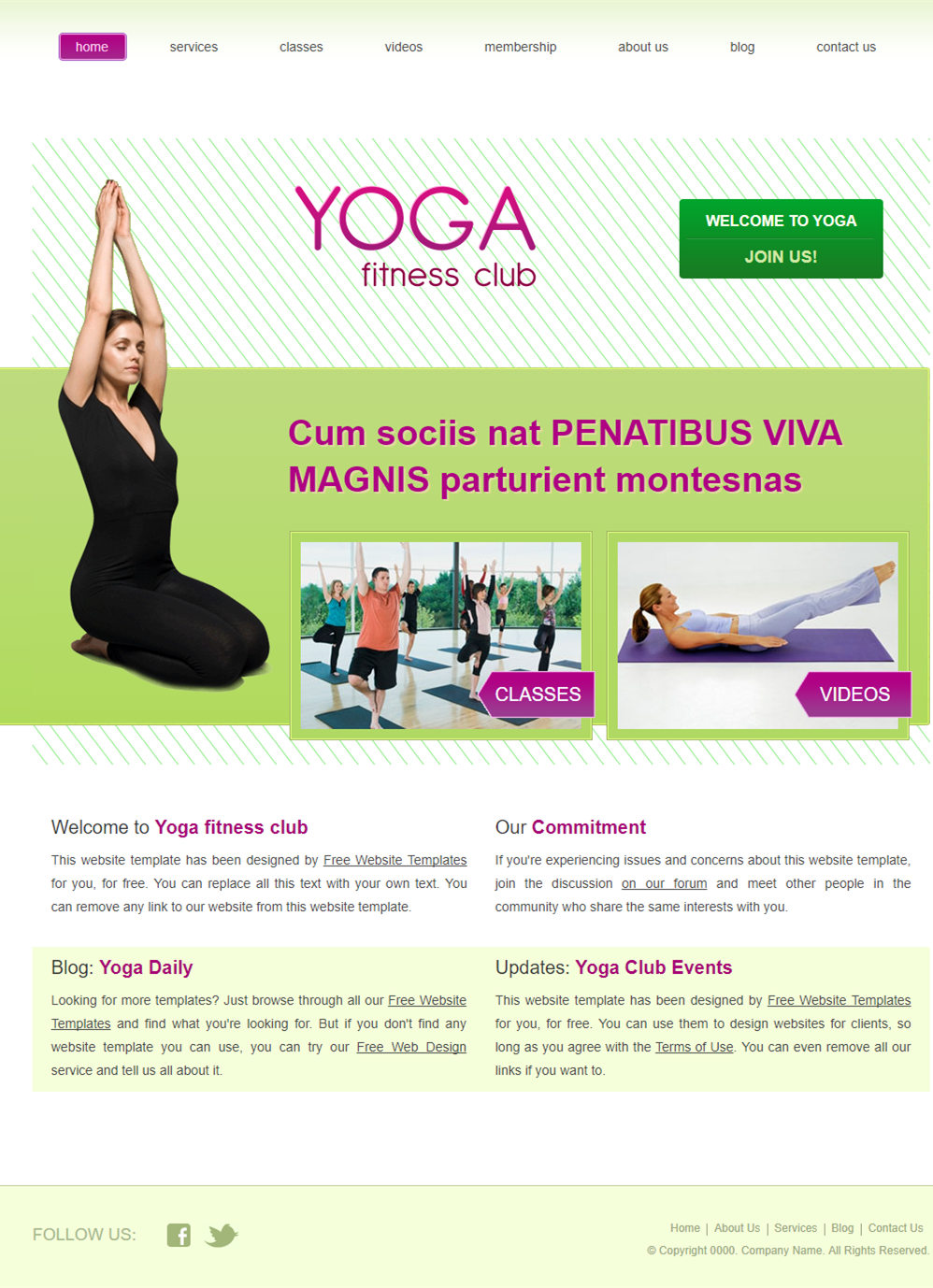 简洁大气风的健康瑜伽网站网页模板下载