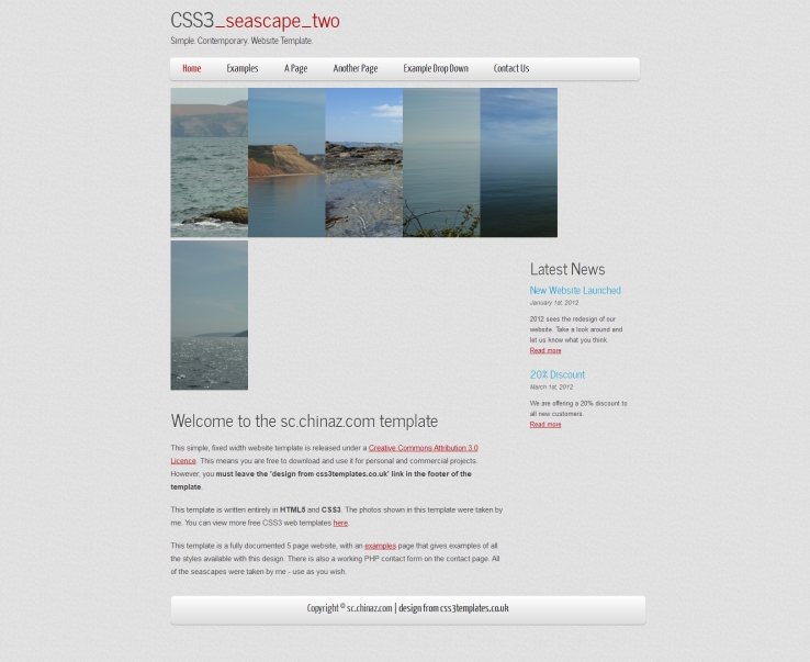 白色简洁风格的当代网站CSS3模板