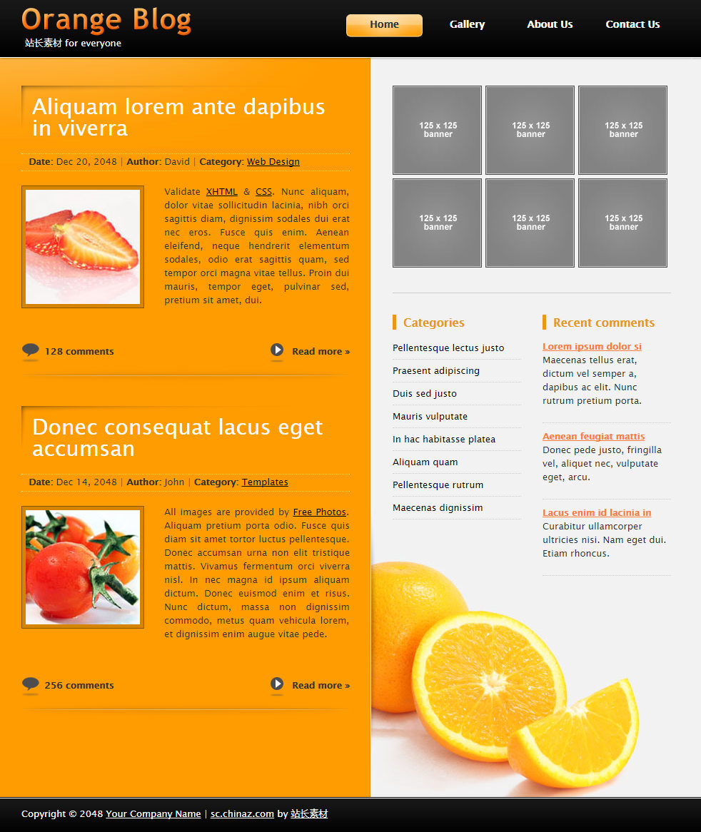 橙色精致风的设计博客网页模板下载