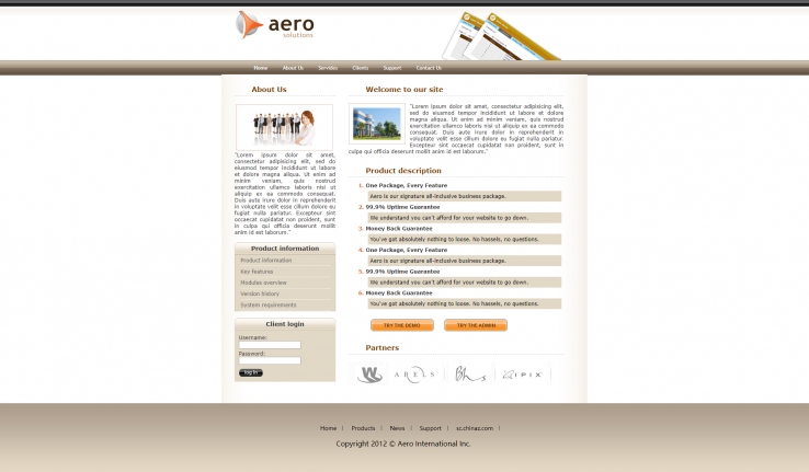 精致简洁风的国际航空企业网页模板下载