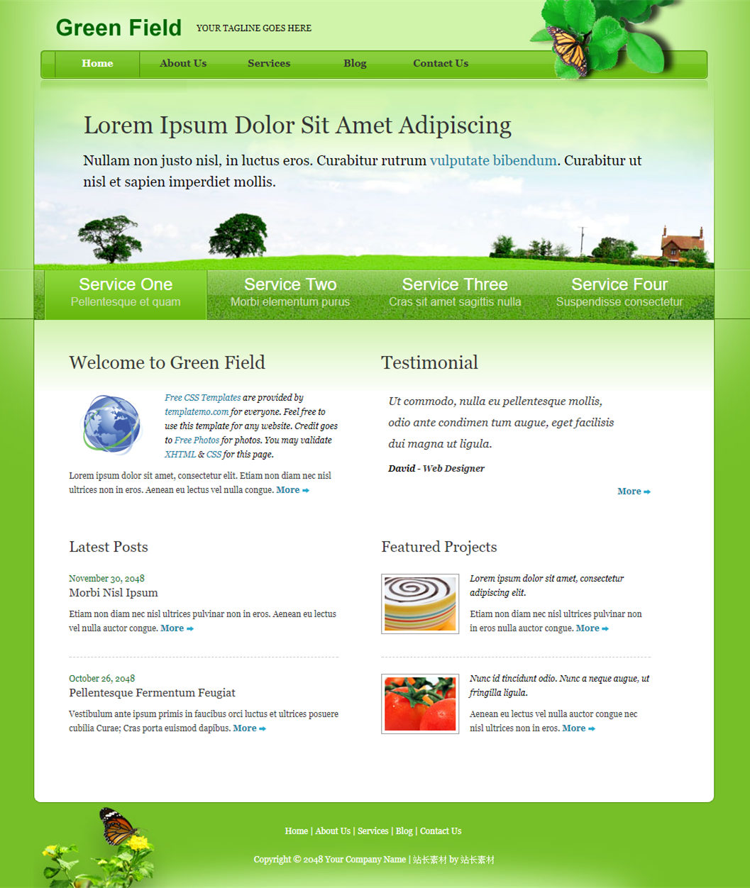 绿色精致清新的服务网站网页模板下载