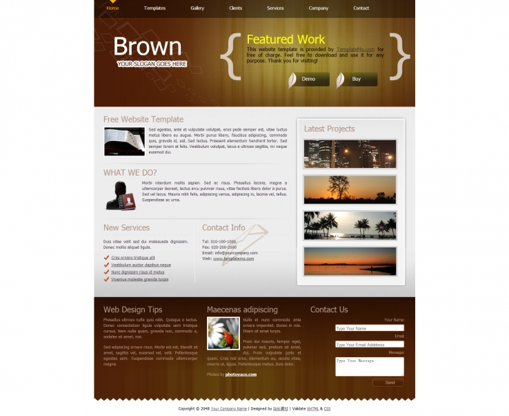 棕色简洁风格的特色工作网站商务模板
