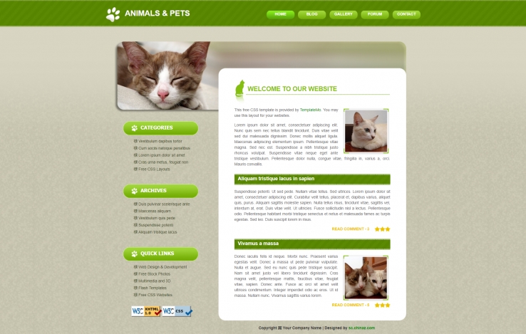 精致简洁风的动物宠物企业网页模板下载