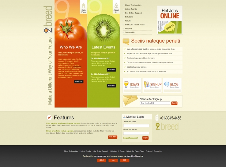 精致棕色风的水果蔬菜网站模板下载