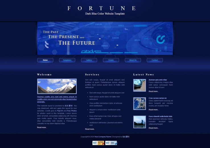 蓝色炫酷风格的未来科技网站CSS模板下载