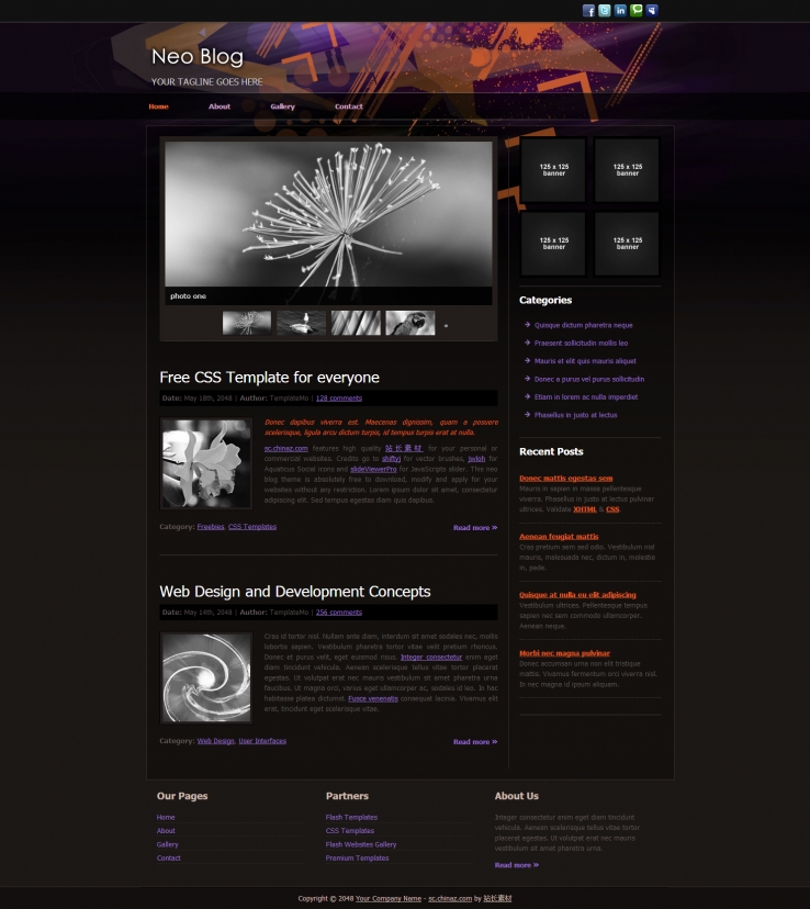 黑色幻彩风格的设计网站CSS模板下载