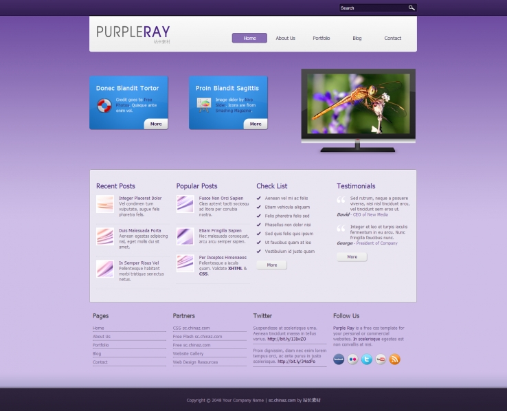 紫色清新风格的设计网站CSS模板下载