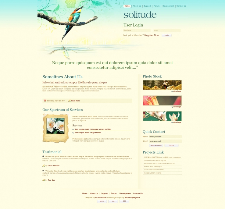 清新花纹风的个性网站模板下载