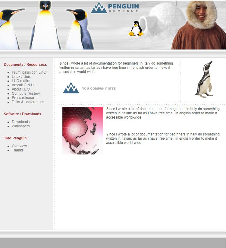 精致清新风的企鹅企业网站模板下载