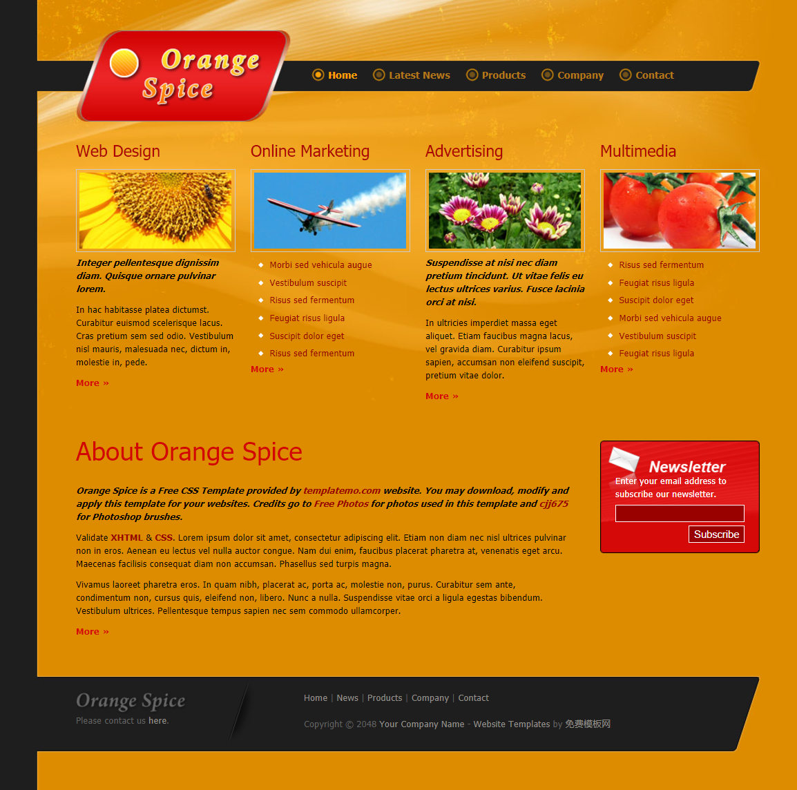 橙色精致风的水果企业网站模板下载