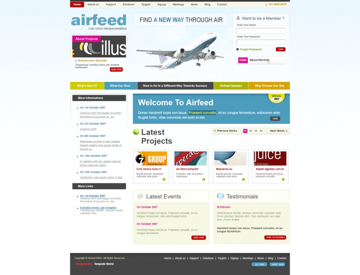 精致清新风的航空公司网站模板下载