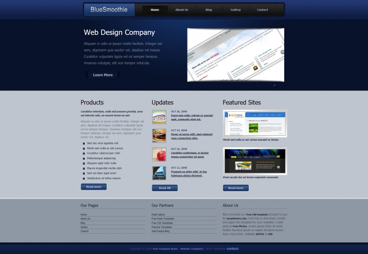 简洁蓝色精致的网站设计公司整站模板下载