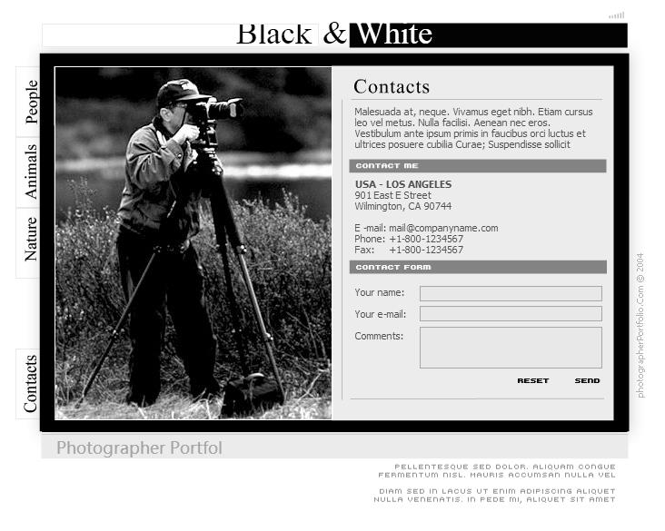 黑白主题的摄影相册网站模板下载