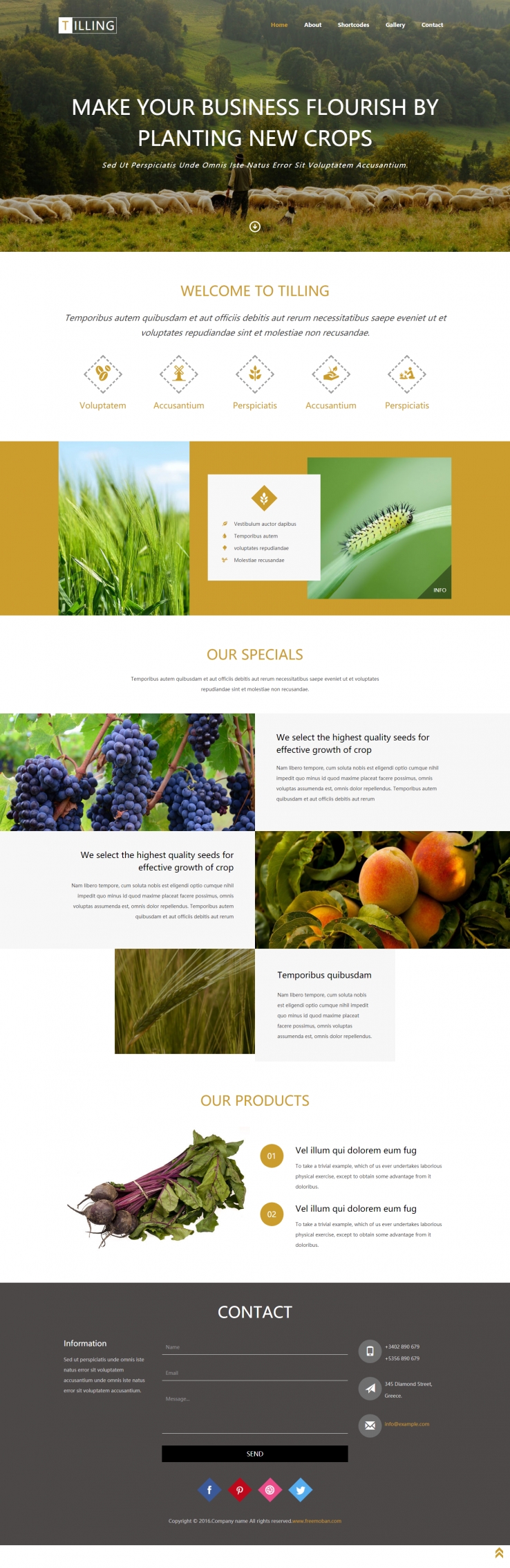 黄色大气风格的农场水果养殖企业网站模板