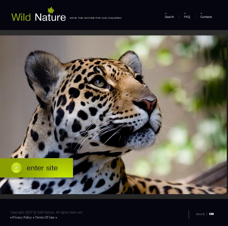 精致简洁效果的动物园网站模板下载