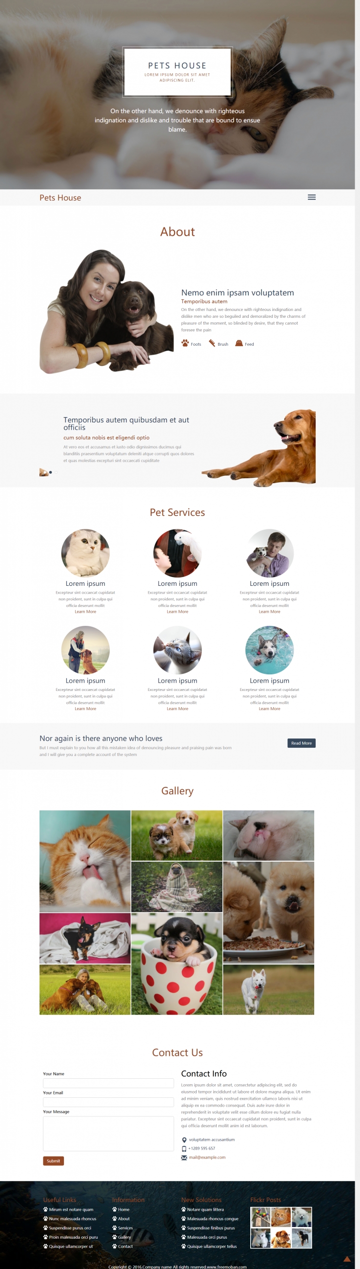 棕色大气风格的宠物之家网站模板下载