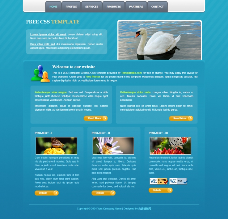 蓝色天鹅景物的单页企业网站模板下载