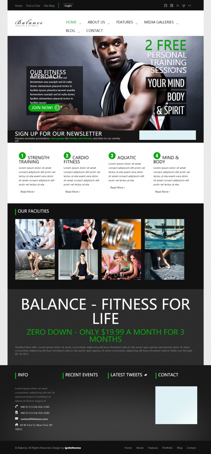 精致简洁效果的运动健身体育整站网站模板下载