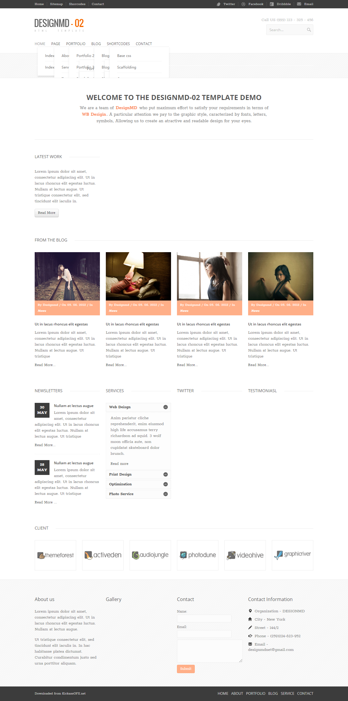 精美简洁风格的摄影相册博客整站网站模板下载