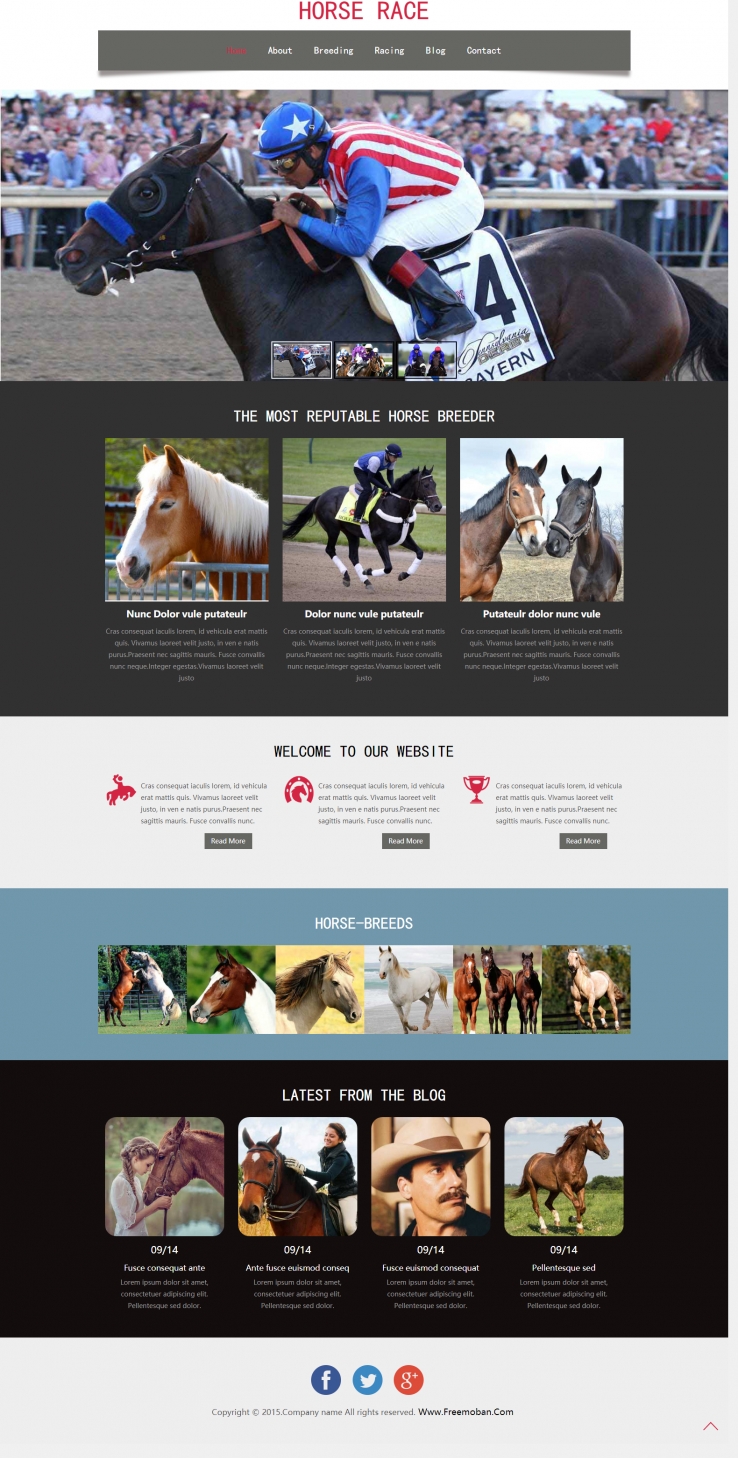 灰色简洁风格的骑马比赛整站网站模板