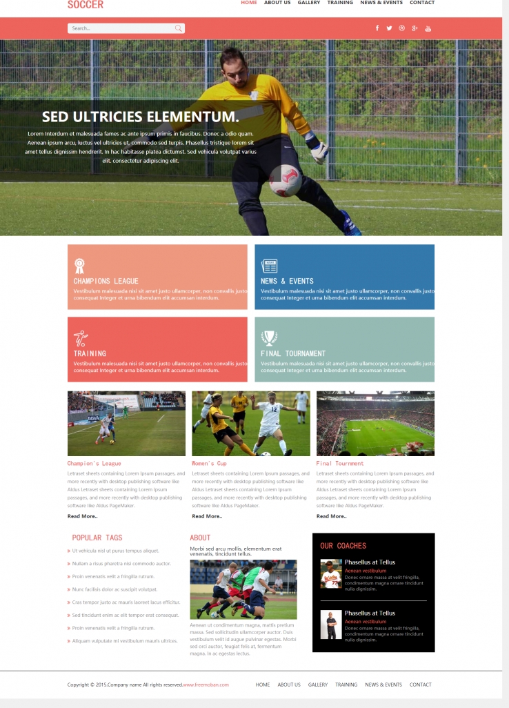 红色扁平风格的足球世界杯整站网站模板