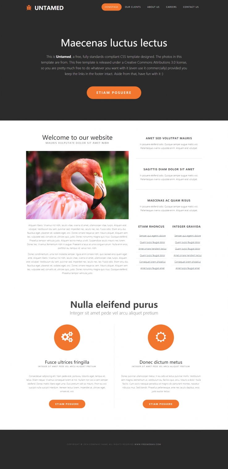 精致简洁效果的动物天鹅企业网站模板下载