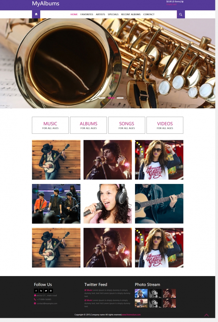 紫色大气风格的明星现场音乐会网站模板下载