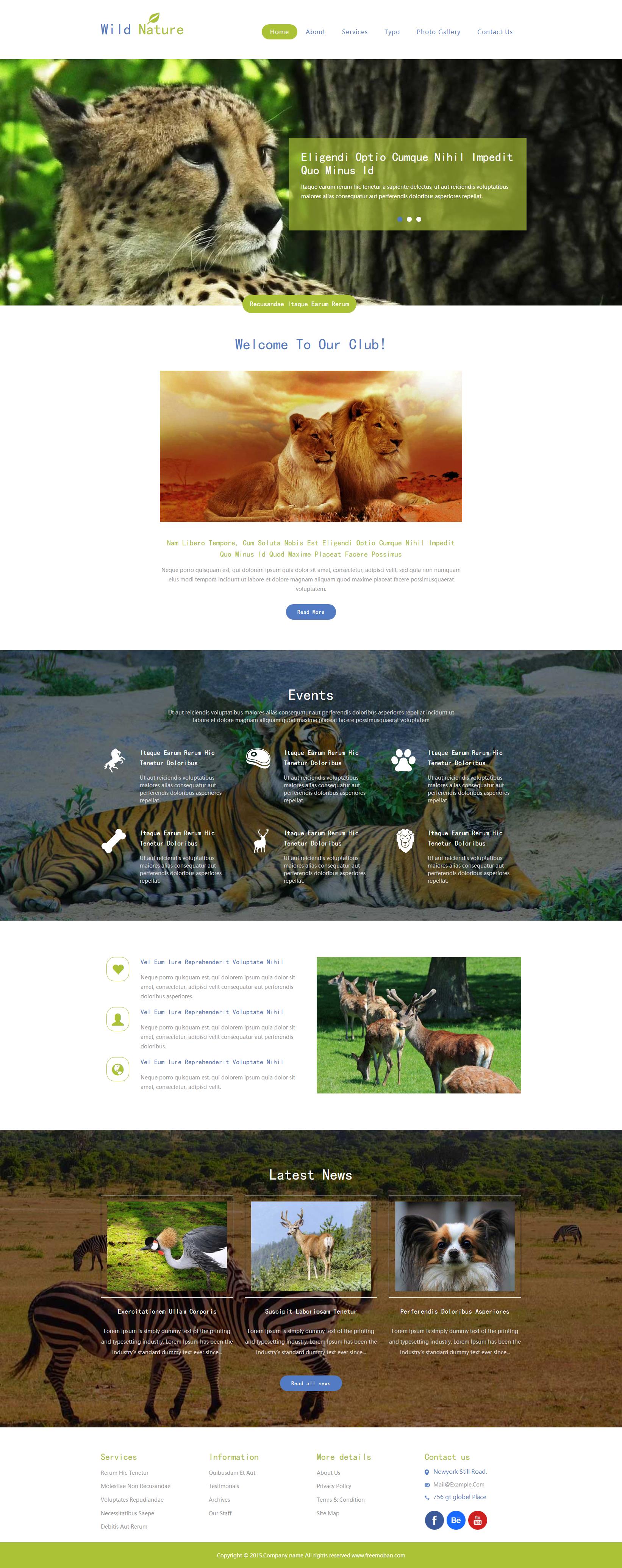绿色宽屏风格的野生保护动物网页模板下载