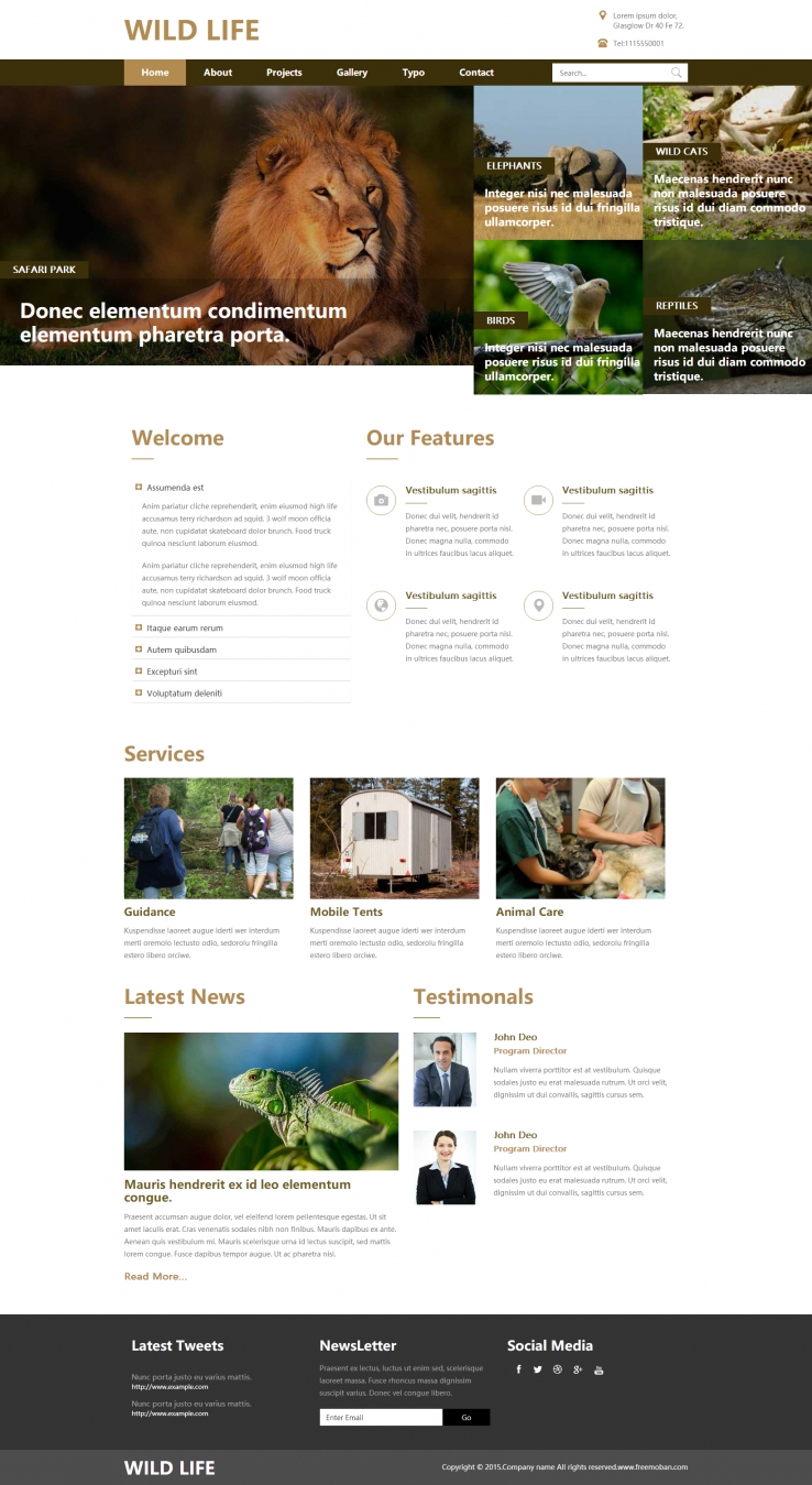棕色精美风格的野生动物园网站模板下载